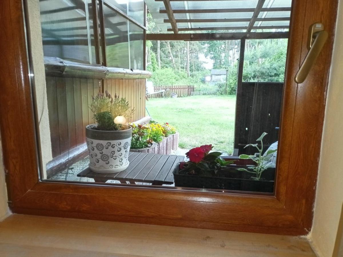 Solorena Junoszyno Exteriör bild