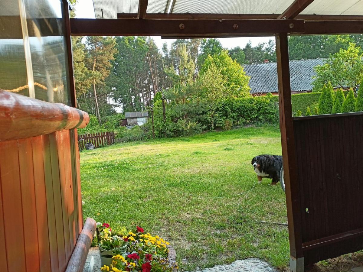 Solorena Junoszyno Exteriör bild